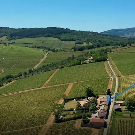 Villa Le Tinailler Grand Standing Au Coeur Des Vignes Prissé Exterior foto
