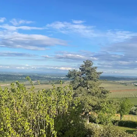 Villa Le Tinailler Grand Standing Au Coeur Des Vignes Prissé Exterior foto