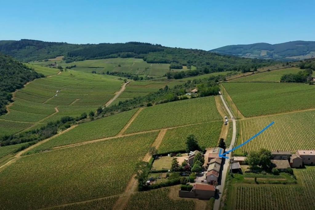 Le Tinailler Grand Standing Au Coeur Des Vignes Holiday home