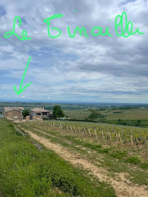 Le Tinailler Grand Standing Au Coeur Des Vignes