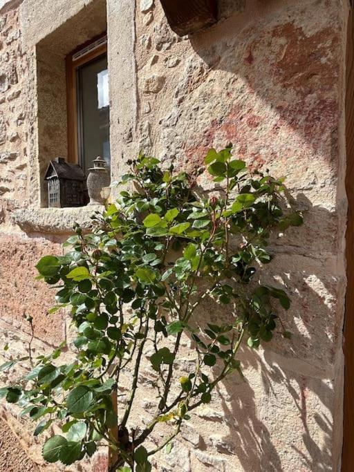 Holiday home Le Tinailler Grand Standing Au Coeur Des Vignes *
