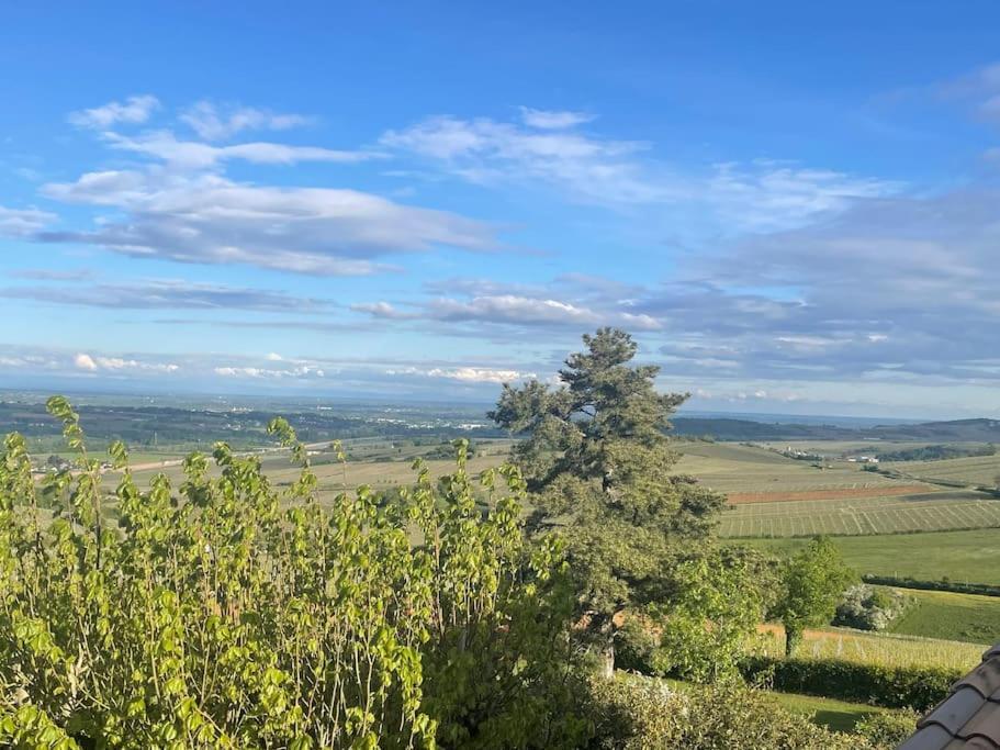 Le Tinailler Grand Standing Au Coeur Des Vignes Prisse