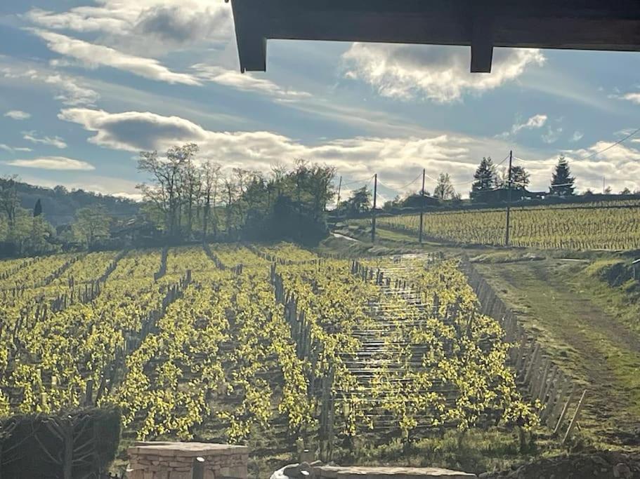 Le Tinailler Grand Standing Au Coeur Des Vignes * Prisse